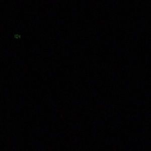 Meet your Posher, Jerry